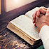 die bibel